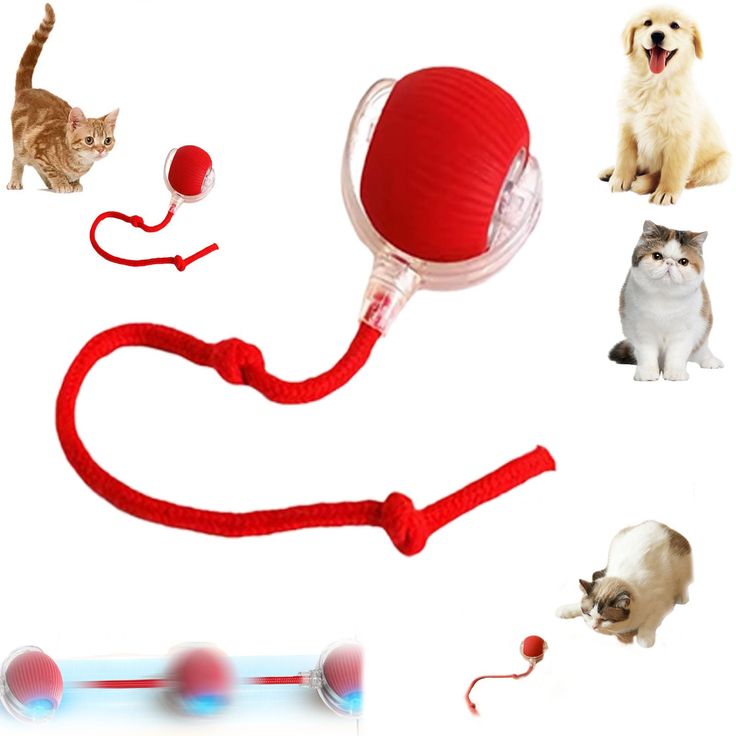 Smart Rolling Cat Toy Ball – 360° Interactive Fun for Pets