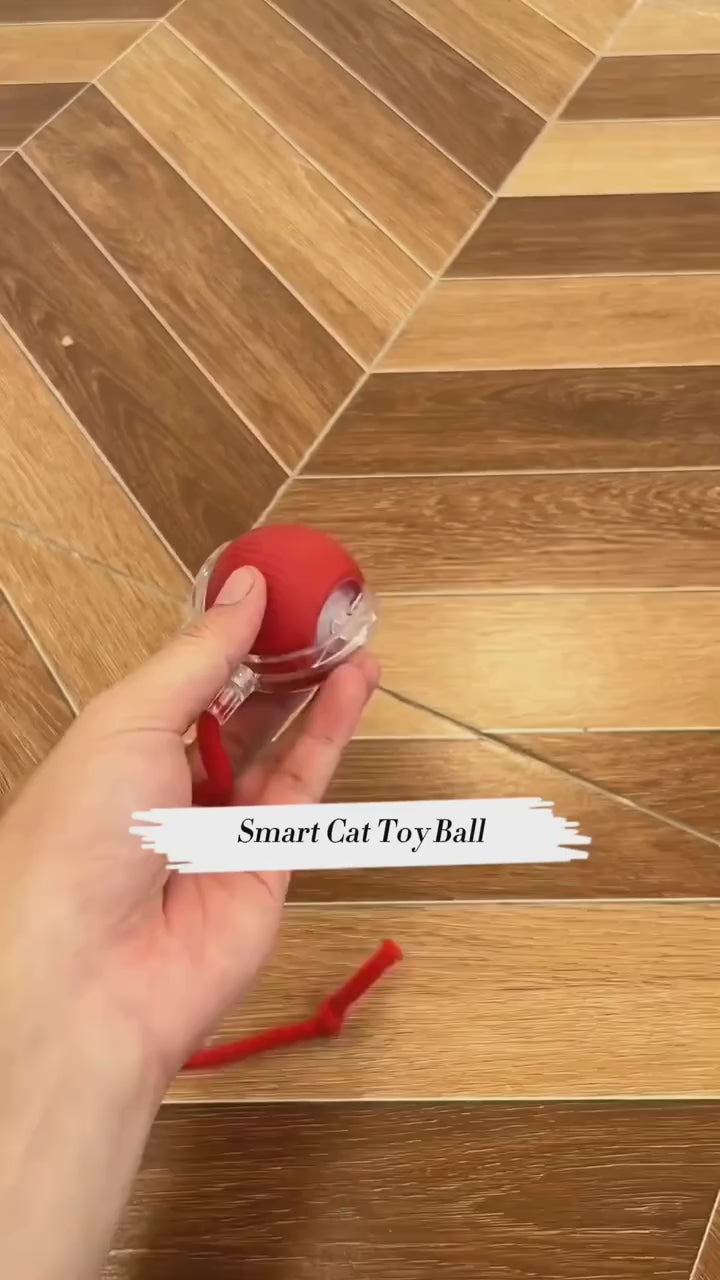 Smart Rolling Cat Toy Ball – 360° Interactive Fun for Pets